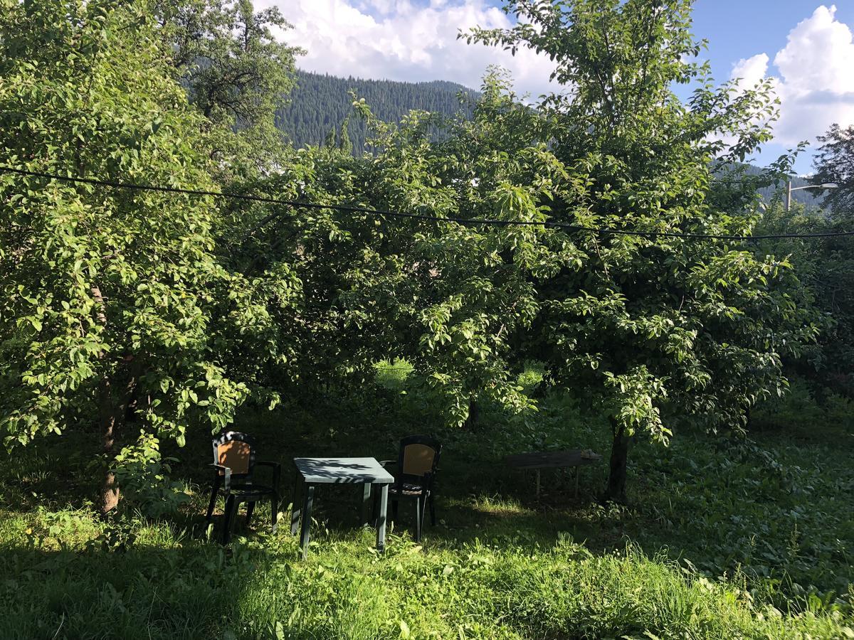 Гостевой дом Ameapi Местия Экстерьер фото